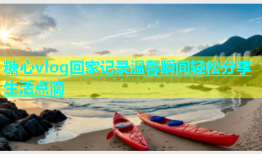 糖心vlog回家记录温馨瞬间轻松分享生活点滴