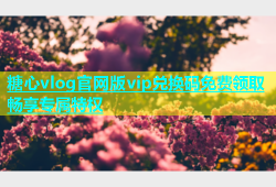 糖心vlog官网版vip兑换码免费领取畅享专属特权