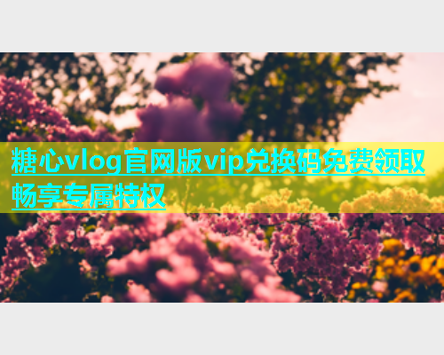 糖心vlog官网版vip兑换码免费领取畅享专属特权